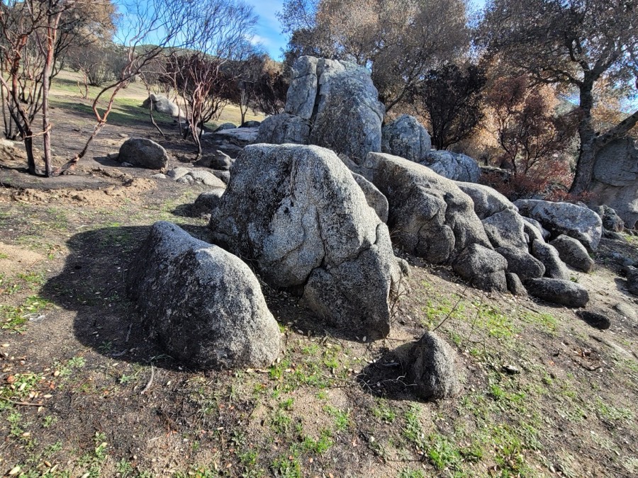 Rocas de granito entre el pasto, con encinos detrás.